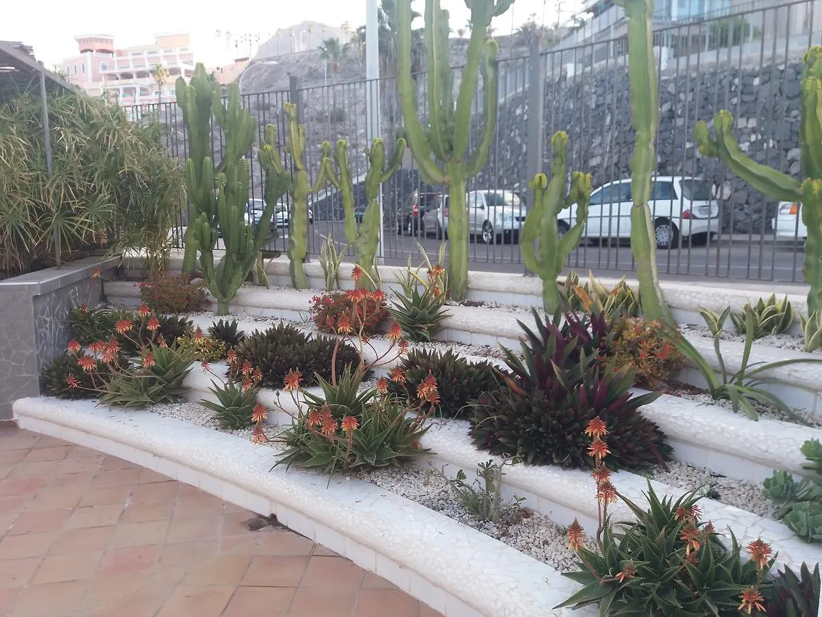 Tenerife Apartment Colina Blanca Adeje 0*,  Španělsko
